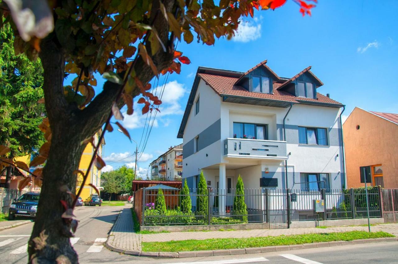 Vila Roza Sighetu Marmaţiei 外观 照片